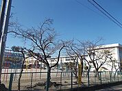 【小学校】岐阜市立長良西小学校まで1657ｍ