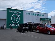 【ドラッグストア】ザグザグ笹沖店まで750ｍ