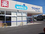 【ドラッグストア】ウエルシア　上河原店様まで2500ｍ