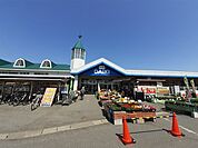 【ホームセンター】ダイキ総社西店まで2900ｍ