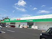 【ドラッグストア】ザグザグ原尾島店さんまで450ｍ