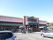 【スーパー】ニシナ　羽島店まで600ｍ
