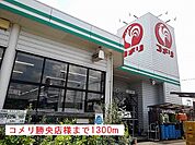 【ホームセンター】コメリ様まで1300ｍ
