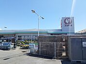 コメリさんまで600ｍ