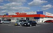 【ドラッグストア】ウェルネス薬局塩谷店まで600ｍ
