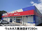 【ドラッグストア】ウェルネス馬潟店まで290ｍ
