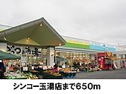 【スーパー】シンコー玉湯店まで650ｍ