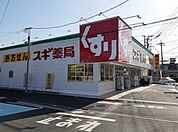 【ドラッグストア】スギドラッグ飯島町店まで750ｍ