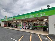 【ドラッグストア】ジップドラッグ白子店まで428ｍ