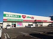 【ドラッグストア】レディ薬局新居浜中央店まで750ｍ