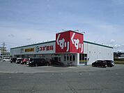 【ドラッグストア】スギ薬局八日市店様まで700ｍ