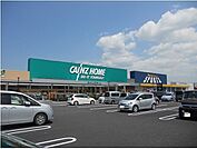 【ホームセンター】カインズホーム木更津金田店まで1000ｍ