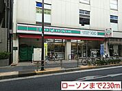 【コンビニエンスストア】ローソンまで230ｍ