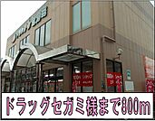 【ドラッグストア】ドラッグセガミ様まで800ｍ