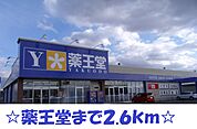 【ドラッグストア】薬王堂まで2600ｍ