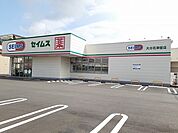 【ドラッグストア】セイムス　大分花津留店まで350ｍ