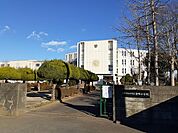 【小学校】ひたちなか市立津田小学校まで100ｍ
