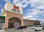 【スーパー】ハローズ神辺モール店まで1000ｍ