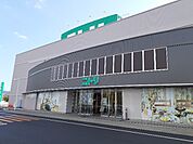 ニトリ福山西店まで1700ｍ