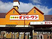 【スーパー】オンリーワン沖野上店まで500ｍ