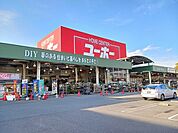 【ホームセンター】ユーホー伊勢丘店まで1800ｍ