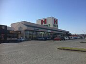 【スーパー】ハローズ 南松永店まで1528ｍ