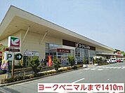 【スーパー】ヨークベニマルまで1410ｍ