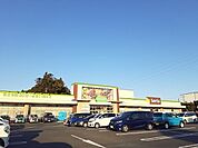 【スーパー】コープひたちなか店まで1800ｍ