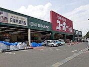 【ホームセンター】ユーホー因島店まで3000ｍ