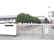 【小学校】結城市立城南小学校まで400ｍ