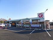 【ホームセンター】コメリまで2800ｍ