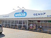 【ドラッグストア】ウエルシア岩瀬店まで800ｍ