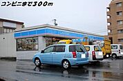 【コンビニエンスストア】ローソンまで300ｍ