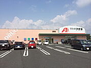 【ドラッグストア】クスリのアオキ北野店まで650ｍ