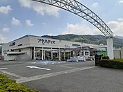 【ホームセンター】アヤハディオまで337ｍ