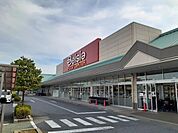 【スーパー】ベイシア前橋おおごモール店まで1200ｍ