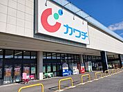 【ドラッグストア】カワチ薬品富岡店まで900ｍ
