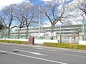 【小学校】富岡市立富岡小学校まで950ｍ