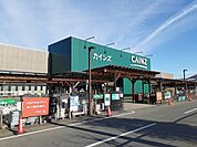 【ホームセンター】カインズ安中店まで2300ｍ