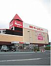 【ホームセンター】島忠ホームズ・オーケーまで1700ｍ