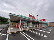 【ドラッグストア】ウォンツ保津店まで2600ｍ