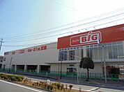 【スーパー】ビッグ岩国店まで1600ｍ