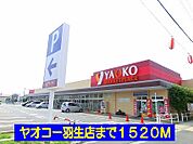【スーパー】ヤオコー羽生店まで1520ｍ