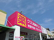 【ドラッグストア】岩崎チェーン平田店まで1300ｍ