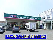 【ドラッグストア】ドラッグセイムス北羽生店まで910ｍ