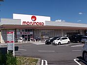 【スーパー】マルナカ高瀬店まで650ｍ
