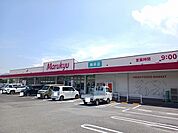 【スーパー】マルキュウ柳井店まで250ｍ