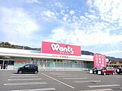 【ドラッグストア】ウォンツ光室積店まで900ｍ