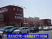 【スーパー】カスミ加須店まで1100ｍ