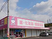 【ドラッグストア】クスリ岩崎チェーン光井店まで1500ｍ